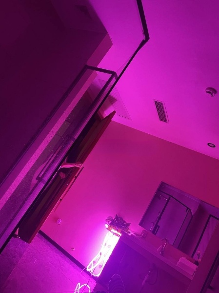 宜清花园底商紫云阁，7月体验了